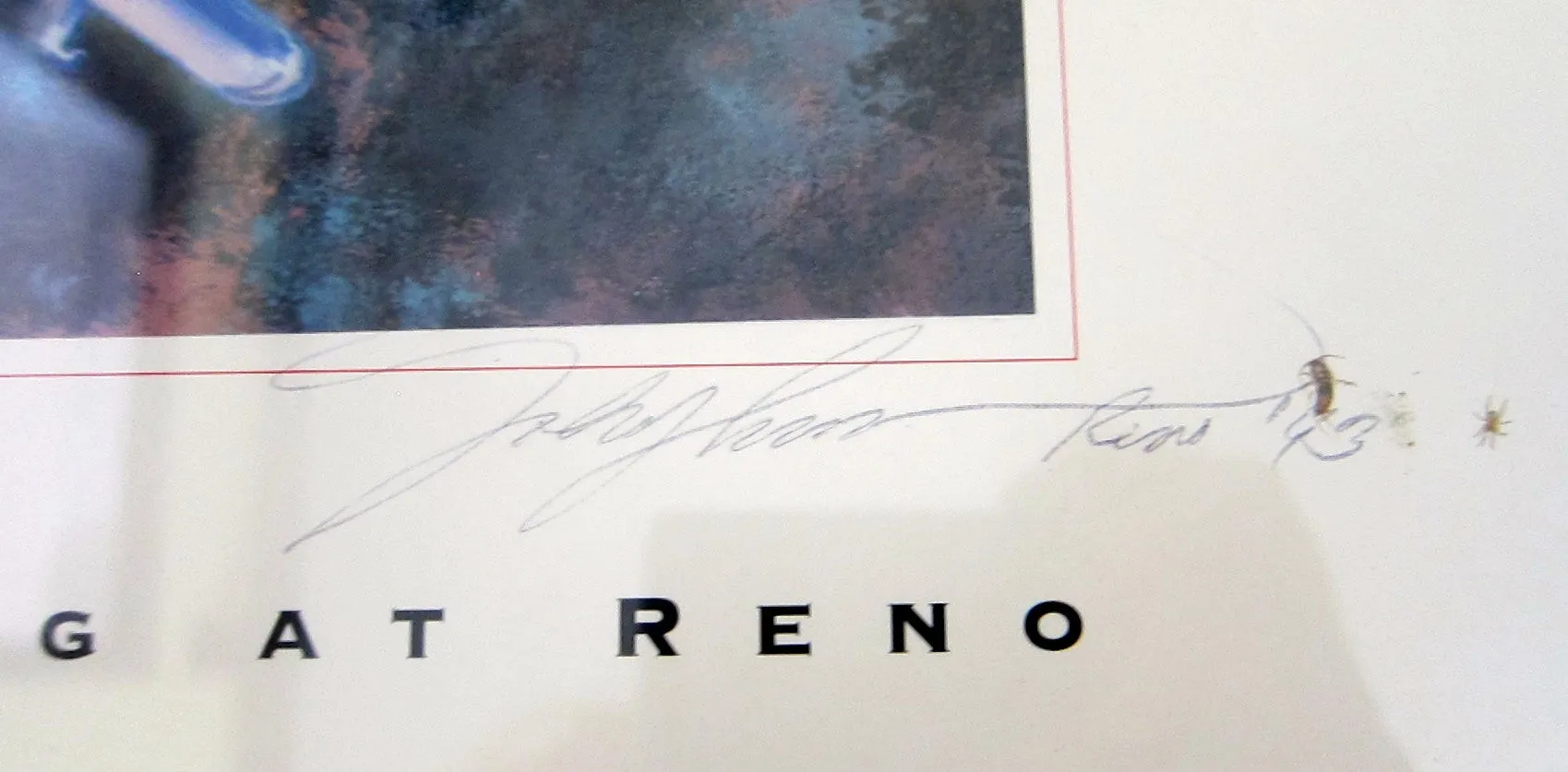Aviation Poster "The Unlimiteds" Signed by artist John D Shaw